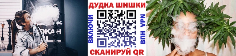 Бошки Шишки гибрид  Губкинский 